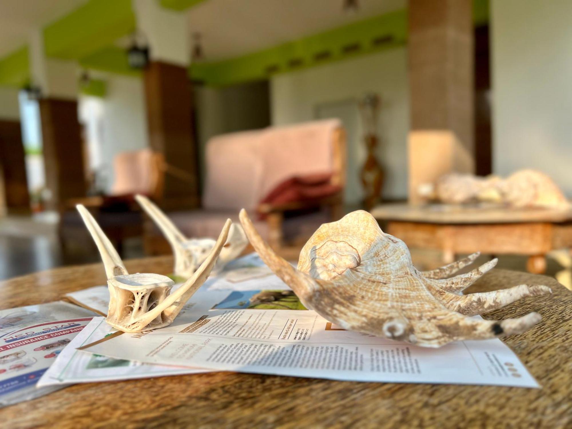 Zanoceanique Hotel Matemwe  Kültér fotó